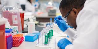 Medical Laboratory Sciences